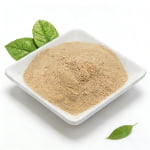 Amino Acid Powder 80% Organic Fertilizer  13-0-0